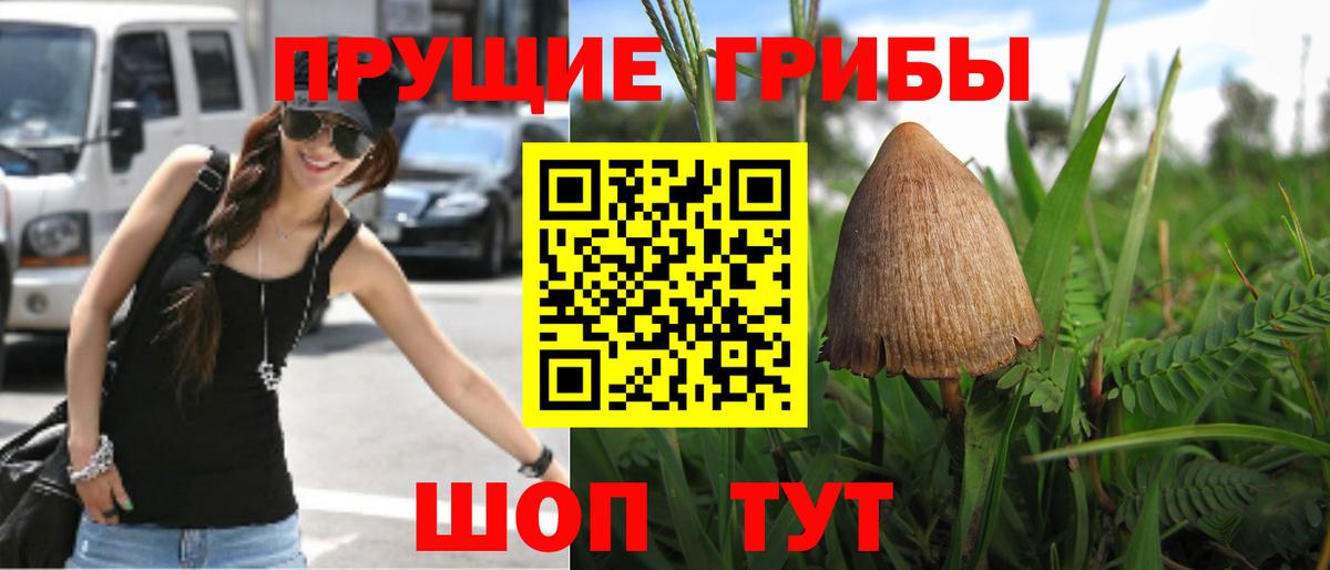 Сыктывкар  Псилоцибиновые грибы Magic Shrooms  Вход с VPN 